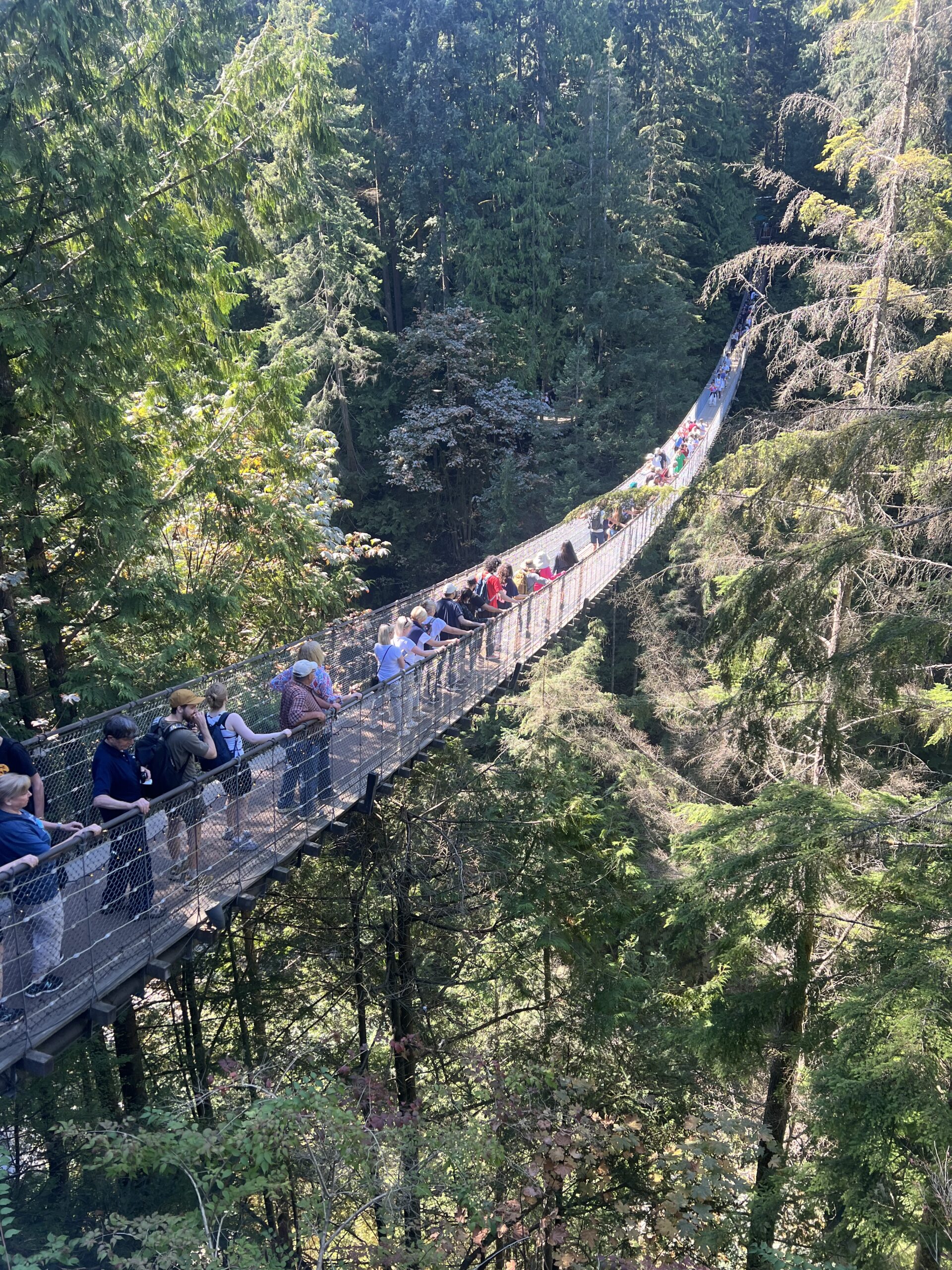 The Capilano Bridge: Built in 1889, it is one of the oldest suspension bridges in Canada. 